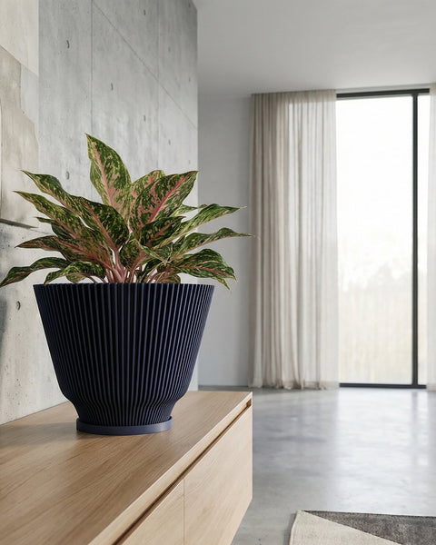 A dark blue ribbed planter pot sits on a light wood cabinet, holding a vibrant green and pink houseplant. The background features a concrete wall and a bright, airy room with sheer curtains.