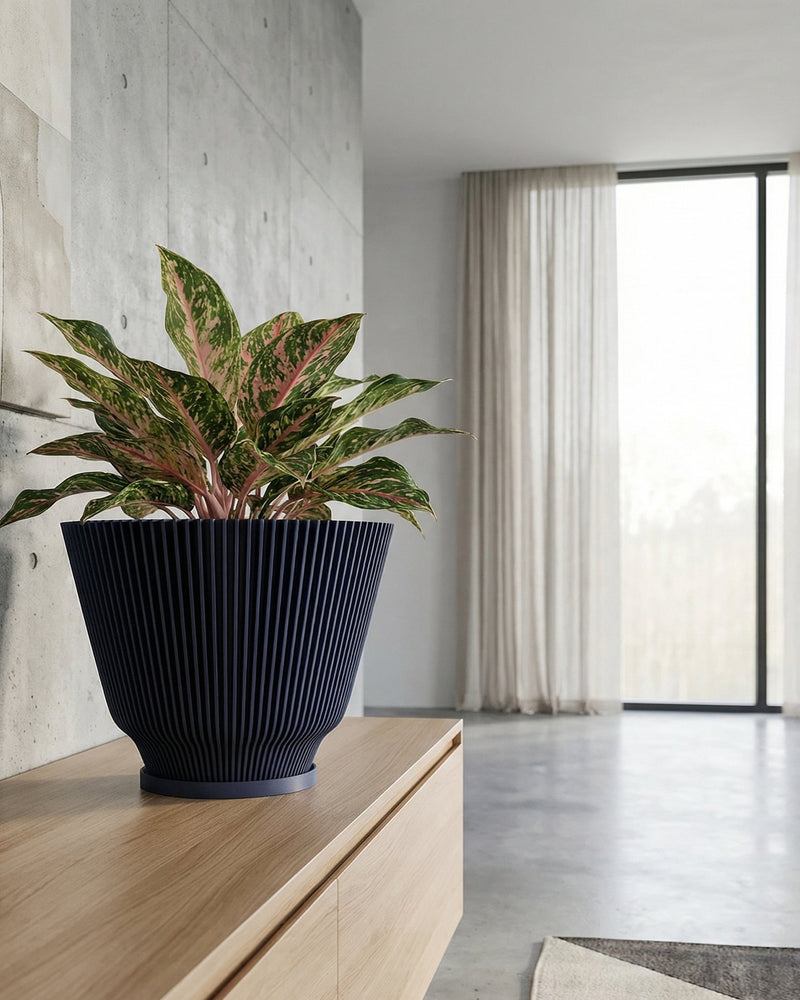 A dark blue ribbed planter pot sits on a light wood cabinet, holding a vibrant green and pink houseplant. The background features a concrete wall and a bright, airy room with sheer curtains.
