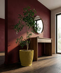 A yellow planter pot with a green plant inside is on a wooden floor in front of a red wall.