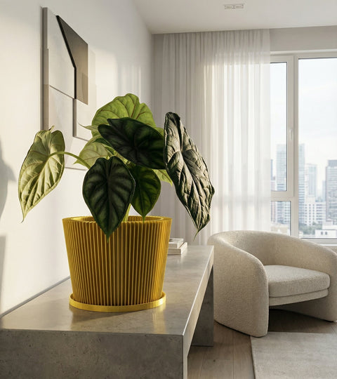 A yellow planter pot with a green plant on a wooden cabinet against a blue wall with a round mirror.