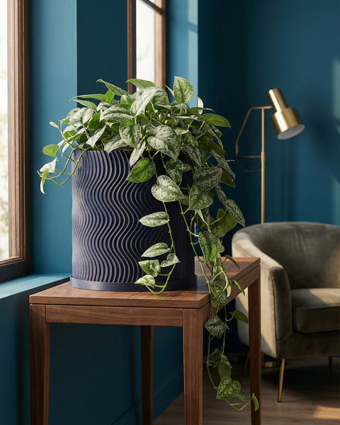 A pothos plant in a navy blue planter pot sits on a wooden table in a room with blue walls.