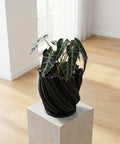 A rubber plant in a black, textured planter pot sits on a white windowsill, bathed in sunlight.