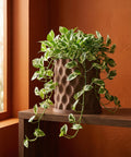 A vibrant pothos plant spills from a textured brown planter pot, displayed on a wooden shelf against a warm, earthy-toned wall.