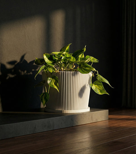 A bright green plant in a white geometric planter pot sits on a wooden windowsill with sunlight streaming through the window.