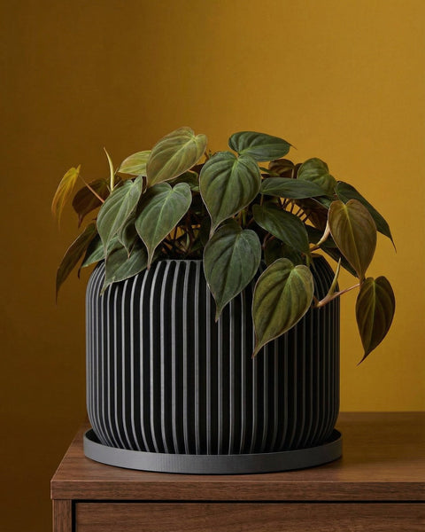 A string of pearls plant in a gray geometric planter pot sits on a windowsill with natural light.