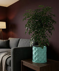 A teal planter pot with a plant sits on a dark wooden table next to a gray couch with a blanket.