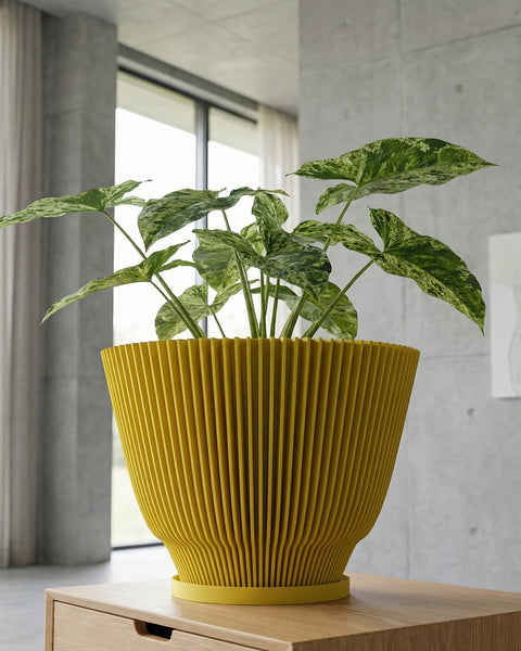 A yellow planter pot with a plant inside sits on top of a wooden cabinet. The planter pot has a unique vertical ribbed design. The plant has large, green leaves with white variegation. The background is a modern interior with a window and concrete wall.