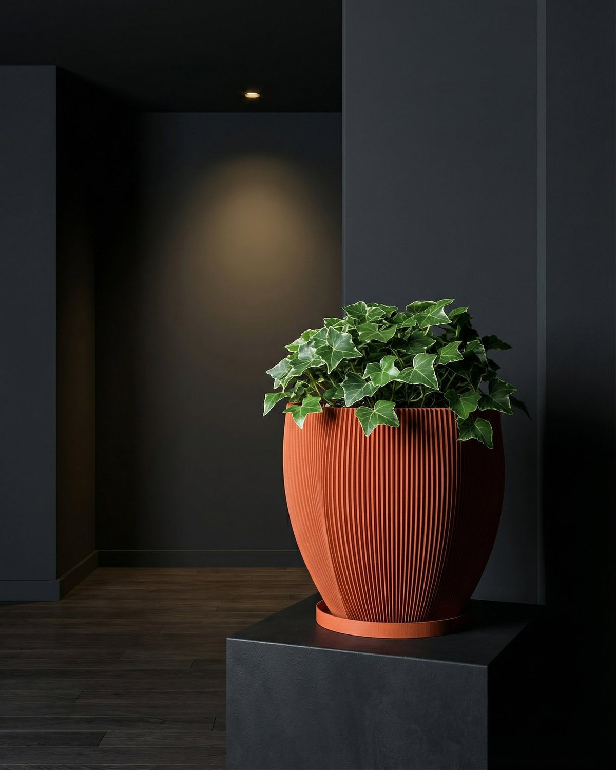 A Philodendron Gloriosum plant sits in a textured, terracotta-colored planter pot on a dark shelf against a dark wall.