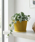 A yellow planter pot with a plant in it sits on a wooden windowsill, illuminated by sunlight.