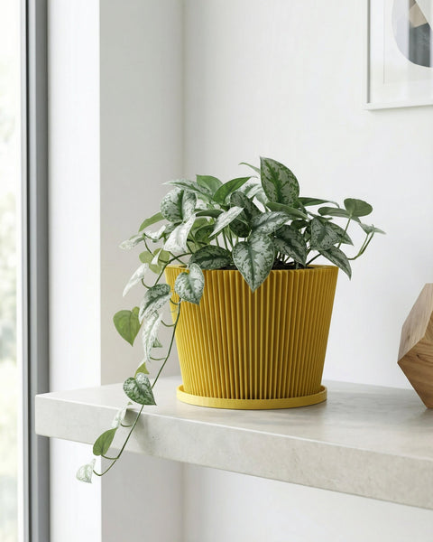 A yellow planter pot with a plant in it sits on a wooden windowsill, illuminated by sunlight.