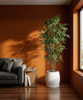 A tall, leafy green tree sits in a white, swirled planter pot next to a window and a gray couch with pillows.