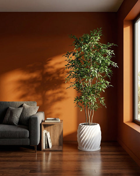 A tall, leafy green tree sits in a white, swirled planter pot next to a window and a gray couch with pillows.