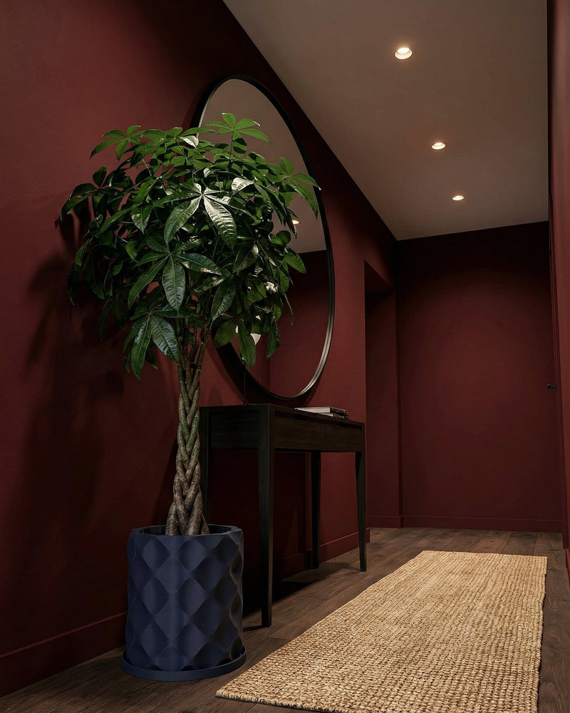 A money tree in a dark blue planter pot sits in the corner of a hallway with dark red walls and a light brown rug.