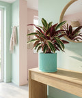A turquoise planter with a trailing plant sits on a wooden table in a hallway with dark green walls and a jute rug.