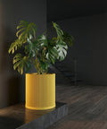 A monstera plant in a yellow ribbed planter pot sits on a dark gray platform in a room with dark walls and a staircase.