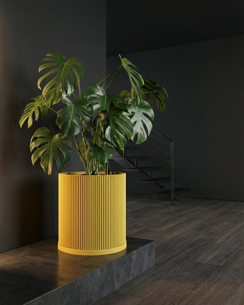 A monstera plant in a yellow ribbed planter pot sits on a dark gray platform in a room with dark walls and a staircase.