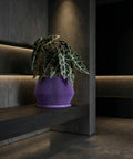 A vibrant purple planter pot sits atop a light wood cabinet, showcasing a lush green plant. A modern lamp and framed artwork add to the stylish interior. The planter's unique ribbed design complements the room's contemporary aesthetic.