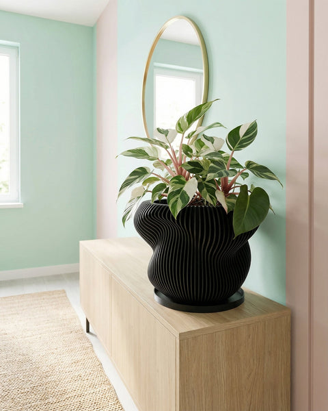A black, vertically-striped planter pot sits atop a dark wood cabinet, overflowing with a lush, green plant with silver-spotted leaves.