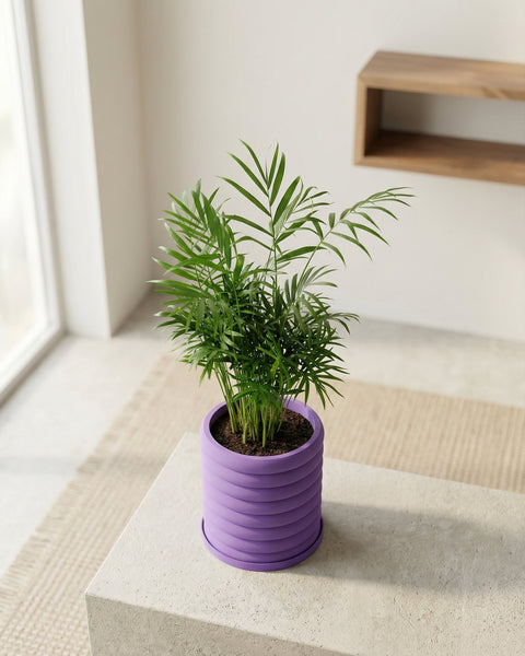 A vibrant purple planter pot with a green plant on a concrete table, showcasing its unique design and color.