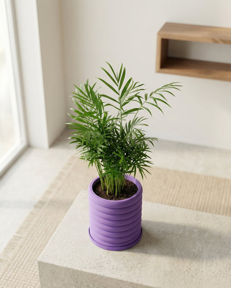 A vibrant purple planter pot with a green plant on a concrete table, showcasing its unique design and color.