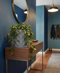 A gray planter pot with a diamond pattern sits atop a wooden console table in a stylish entryway. The pot is filled with a lush green plant.