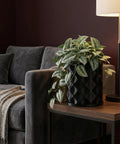 A black planter pot with a green plant sits on a wooden table next to a gray couch and lamp.