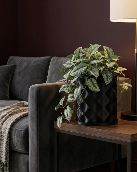 A black planter pot with a green plant sits on a wooden table next to a gray couch and lamp.