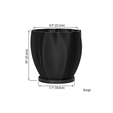 Charcoal Black Coconut