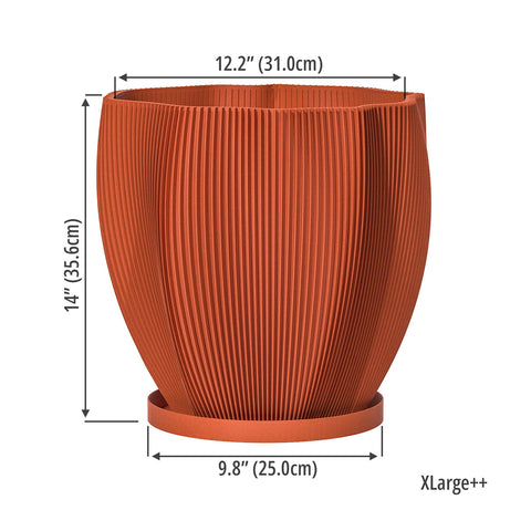 Terracotta Orange Coconut