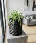 A black woven planter pot sits on a wooden table next to a gray couch with a throw blanket. A plant with green and white leaves is in the pot.