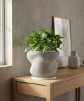 A modern, ribbed planter pot with a Swiss cheese plant sits on a wooden cabinet in a sunlit room.