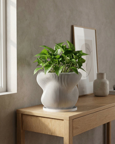 A modern, ribbed planter pot with a Swiss cheese plant sits on a wooden cabinet in a sunlit room.