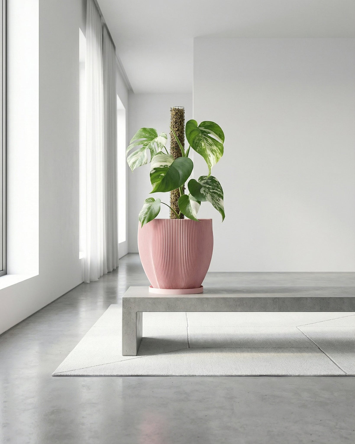 A pink planter pot with a green plant sits on a white windowsill, bathed in sunlight. The pot has a textured, woven design.