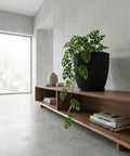 A black planter pot with a plant sits on a wooden shelf next to books and decorative objects in a minimalist room.
