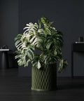 A green planter pot with a plant next to a gray chair in a room with green walls.