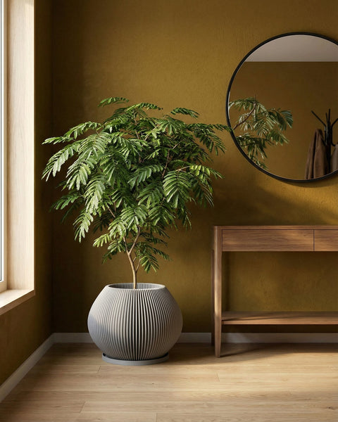 A large, white, fluted planter pot with a green plant inside sits on a gray concrete floor in a modern room. The pot has a unique, vertically ribbed design. A window with a city view is visible in the background.
