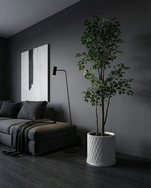 A potted Alocasia plant sits on a wooden shelf in front of a window. The plant is in a white, textured planter pot.
