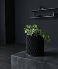 A black planter pot with a plant sits on a dark wood table. A round mirror hangs on the wall behind the plant.