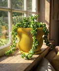 A vibrant green Monstera adansonii plant sits in a yellow, ribbed planter pot on a sunny windowsill.