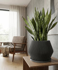 A planter pot with a plant on a wooden table, with a gray couch and curtains in the background. The planter pot is black with vertical lines.