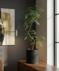 A black woven planter pot sits on a wooden surface, holding a tall, leafy plant. The pot's texture adds visual interest to the scene.