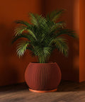 A vibrant green palm plant sits in a modern, orange-toned, vertically-striped planter pot on a wooden floor against a matching orange wall.