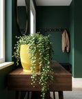 A vibrant yellow planter pot filled with a lush green trailing plant sits atop a dark wood console table in a room with dark green walls.