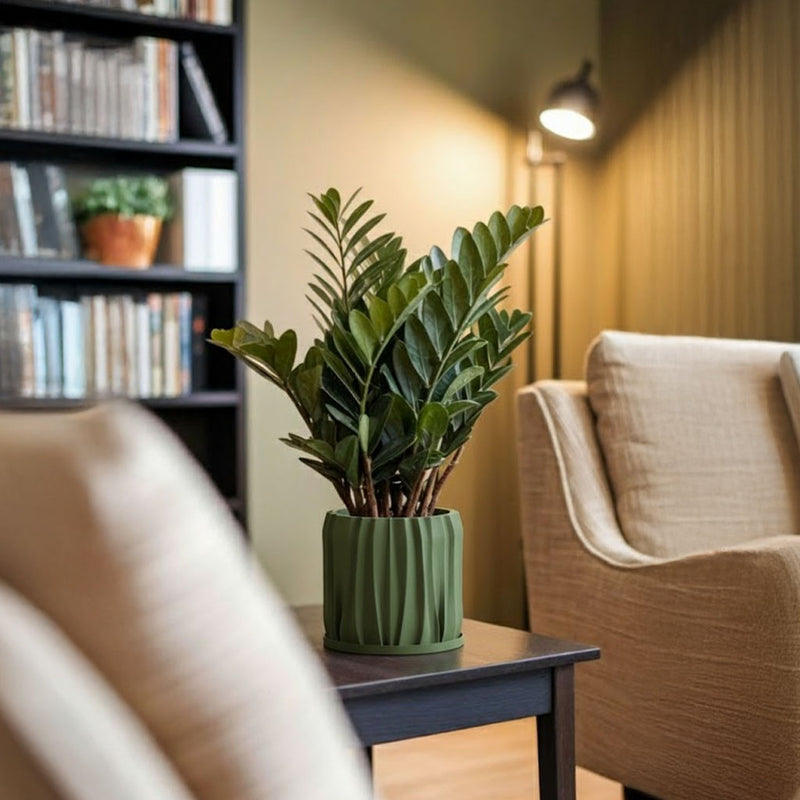 Avocado Green Kurtain