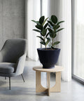 A dark blue planter pot with vertical ridges sits on a light wood table next to a gray chair. The planter contains a rubber plant with large, glossy green leaves. The background features a concrete wall and sheer white curtains.