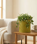 A green woven planter pot sits on a wooden side table next to a beige chair with a throw blanket. The pot contains a lush green plant.