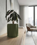 A green planter pot with a textured surface sits on a dark wooden table, filled with a lush green plant with variegated leaves. The background is a solid orange wall.