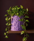 A vibrant green pothos plant spills over the edge of a textured, lavender planter pot, sitting on a wooden shelf against a dark background.
