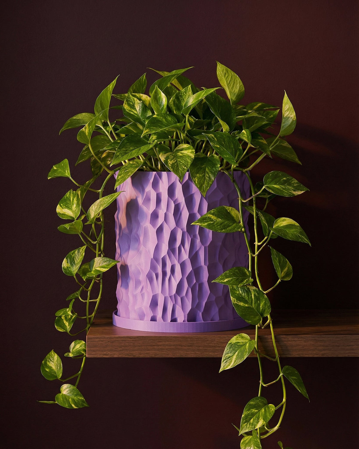 dark purple plant pot Planter Pot With Drainage, Saucer Included