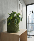 A green planter pot with a geometric design sits on a light wood shelf, with a plant inside. A framed print and a window with a city view are in the background.